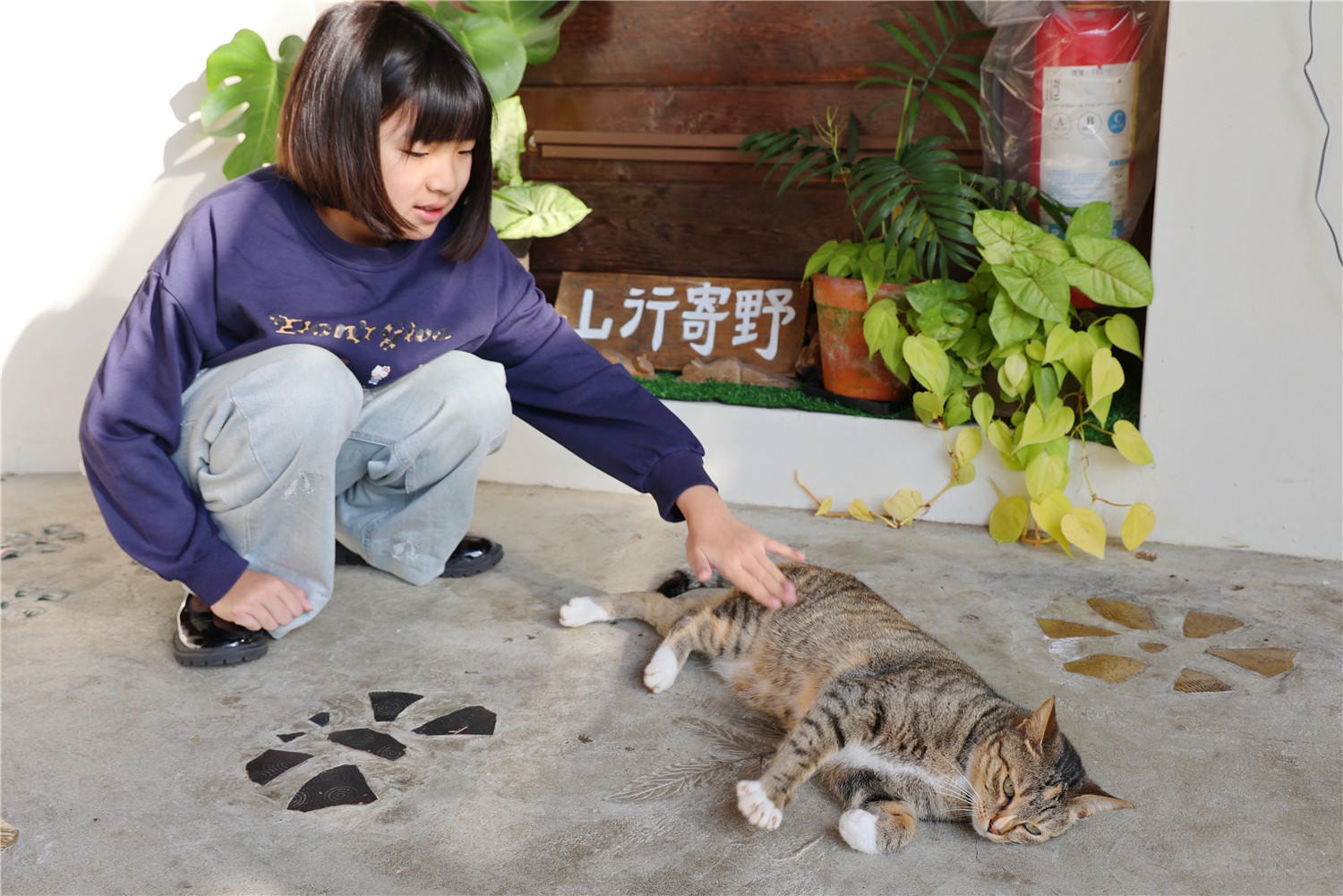 苗栗住宿-山行寄野 佇足於綠林山坡上的鄉野民宿丨傾聽自然悅耳的鳥鳴聲
