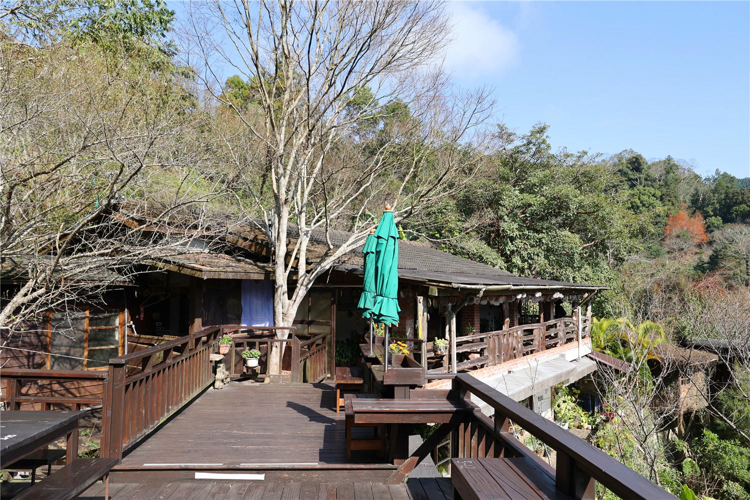 苗栗住宿-山行寄野 佇足於綠林山坡上的鄉野民宿丨傾聽自然悅耳的鳥鳴聲