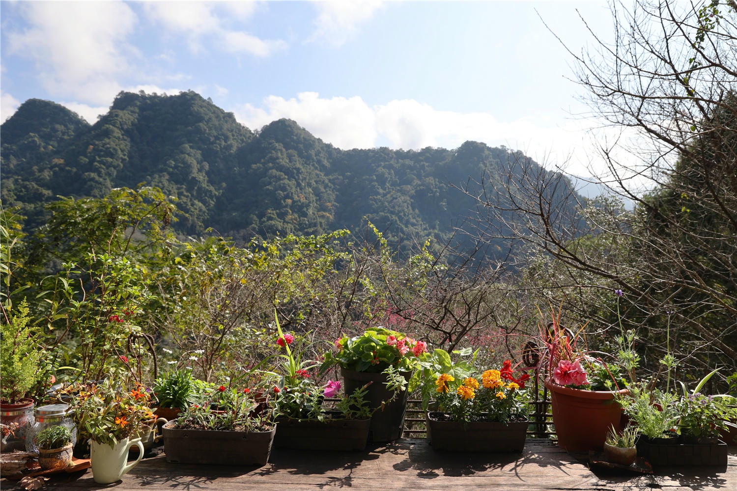 苗栗美食-山行玫瑰 隱身山林之中的美味午茶時光丨現烤鬆餅.風味美食及特調飲品 - 第9張圖 苗栗美食-山行玫瑰 隱身山林之中的美味午茶時光丨現烤鬆餅.風味美食及特調飲品