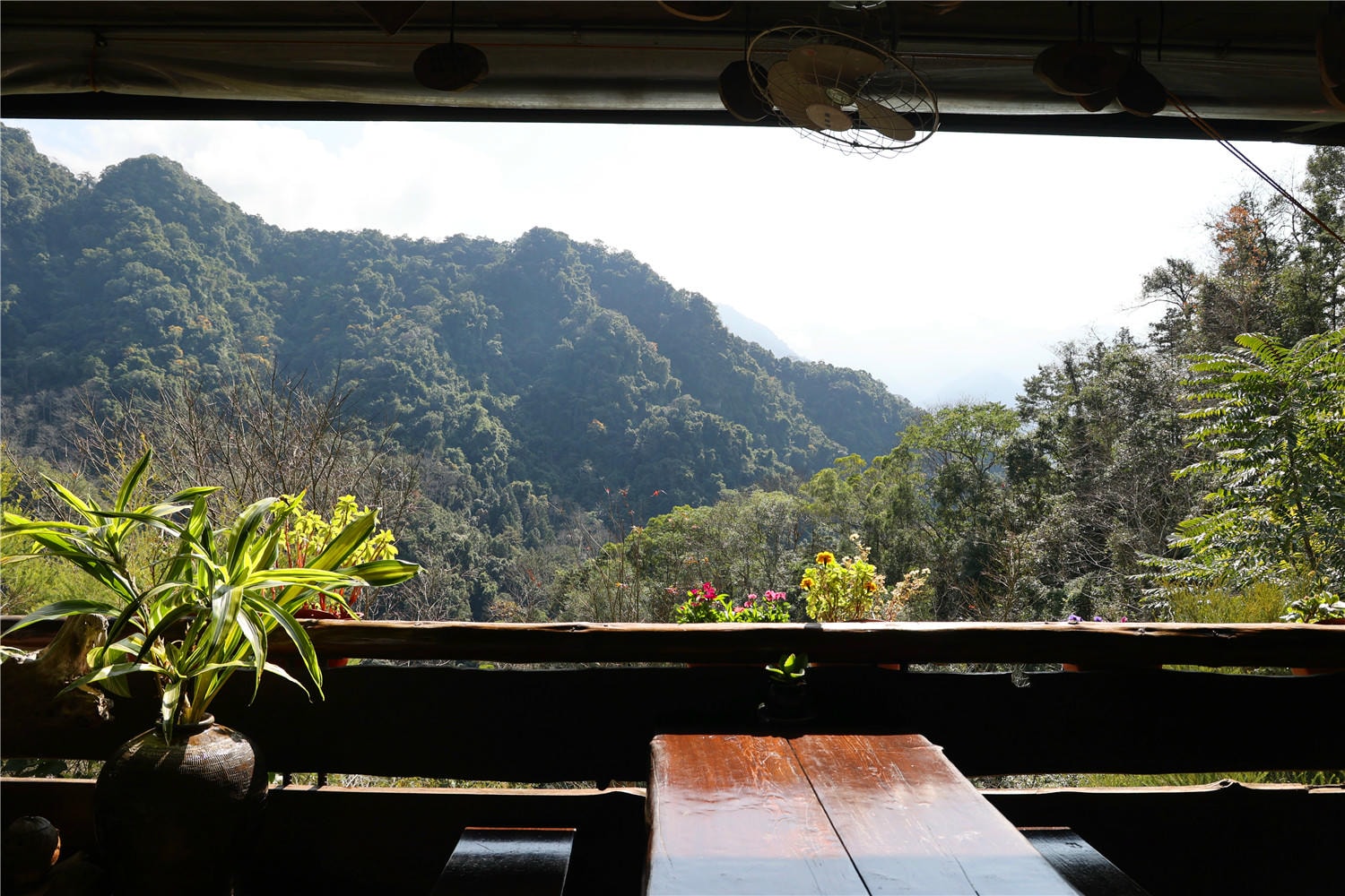 苗栗美食-山行玫瑰 隱身山林之中的美味午茶時光丨現烤鬆餅.風味美食及特調飲品