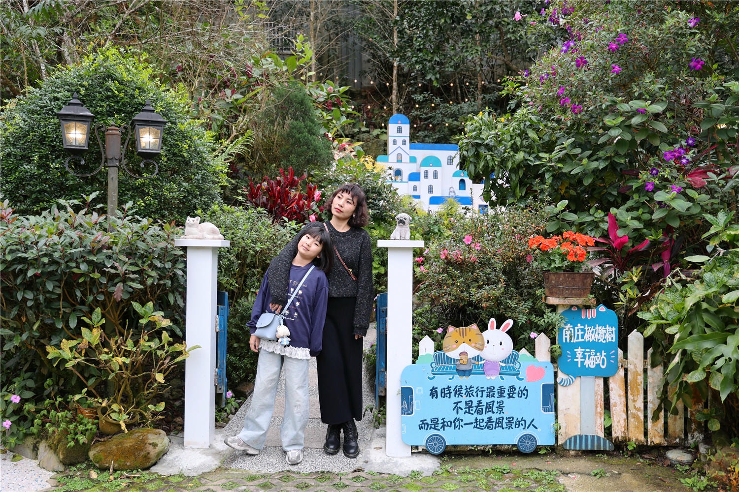 苗栗住宿-南庄橄欖樹咖啡民宿 走進迷霧森林裡的童話小屋丨萌寵貓咪是你的玩伴還是僕人!?