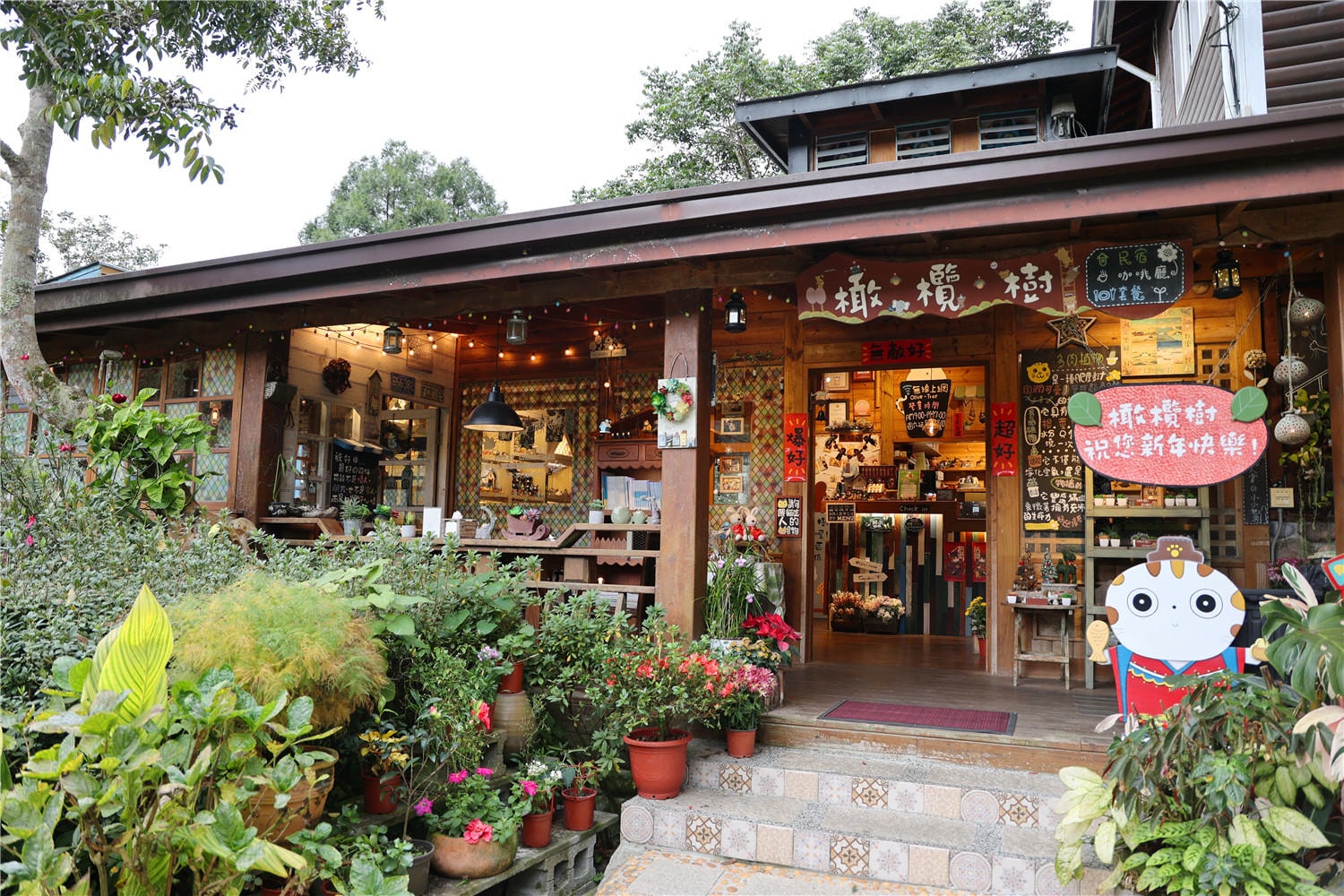 苗栗住宿-南庄橄欖樹咖啡民宿 走進迷霧森林裡的童話小屋丨萌寵貓咪是你的玩伴還是僕人!?