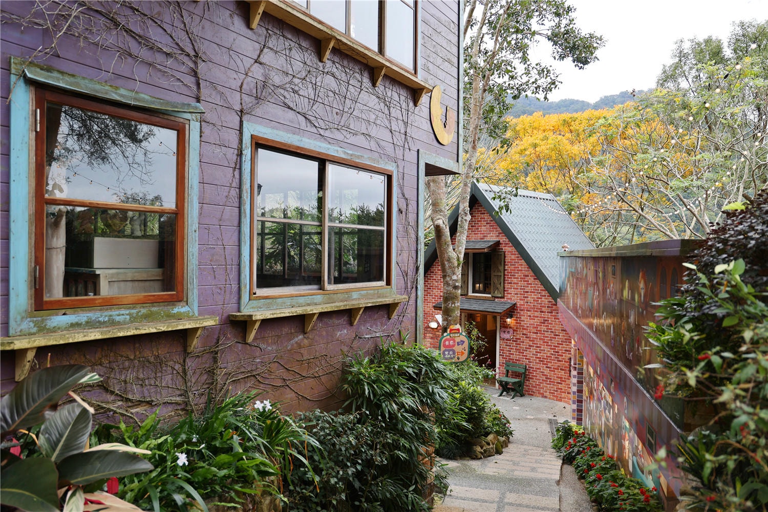 苗栗住宿-南庄橄欖樹咖啡民宿 走進迷霧森林裡的童話小屋丨萌寵貓咪是你的玩伴還是僕人!?