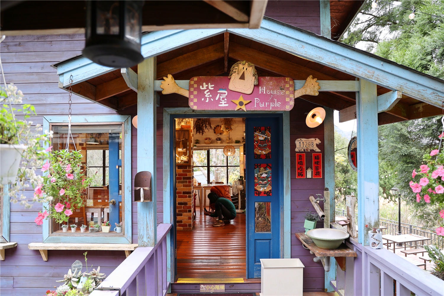 苗栗住宿-南庄橄欖樹咖啡民宿 走進迷霧森林裡的童話小屋丨萌寵貓咪是你的玩伴還是僕人!?