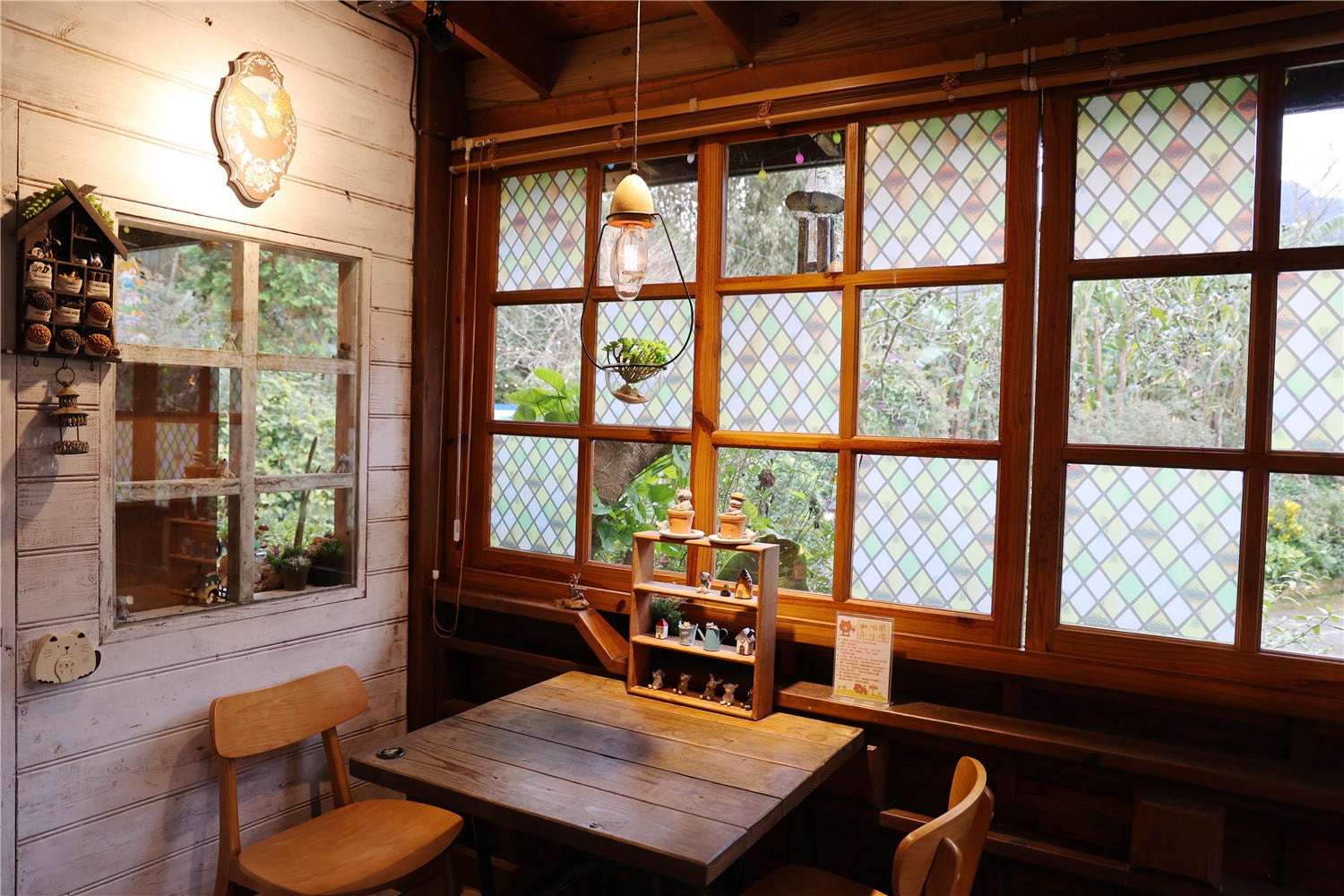 苗栗住宿-南庄橄欖樹咖啡民宿 走進迷霧森林裡的童話小屋丨萌寵貓咪是你的玩伴還是僕人!?