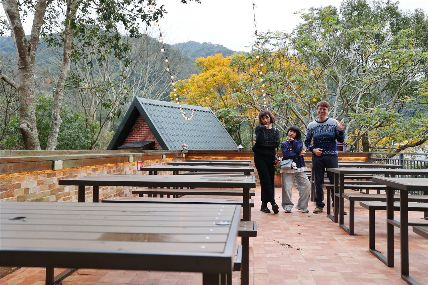苗栗住宿-南庄橄欖樹咖啡民宿 走進迷霧森林裡的童話小屋丨萌寵貓咪是你的玩伴還是僕人!?