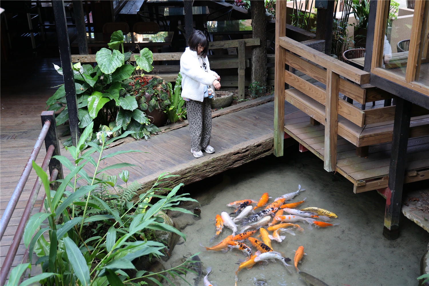 苗栗住宿-卓也小屋度假園區 藏身於森林裡的江南古厝丨體驗藍染DIY藝術創作 - 第53張圖 苗栗住宿-卓也小屋度假園區 藏身於森林裡的江南古厝丨體驗藍染DIY藝術創作