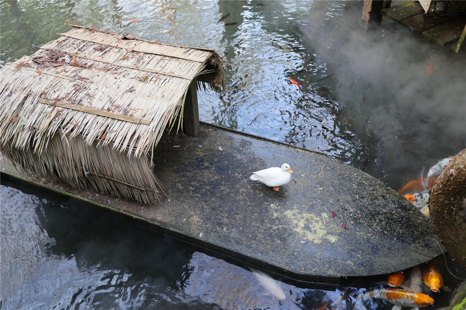 苗栗住宿-卓也小屋度假園區 藏身於森林裡的江南古厝丨體驗藍染DIY藝術創作 - 第54張圖 苗栗住宿-卓也小屋度假園區 藏身於森林裡的江南古厝丨體驗藍染DIY藝術創作