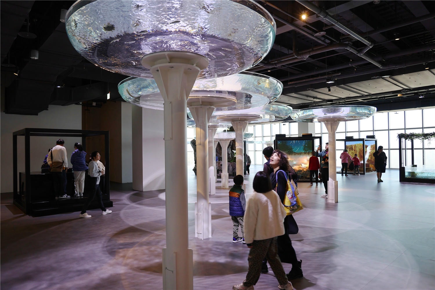 台中旅遊-台中海洋館 猶如海洋藝術展覽般的水族館丨企鵝隧道超吸睛