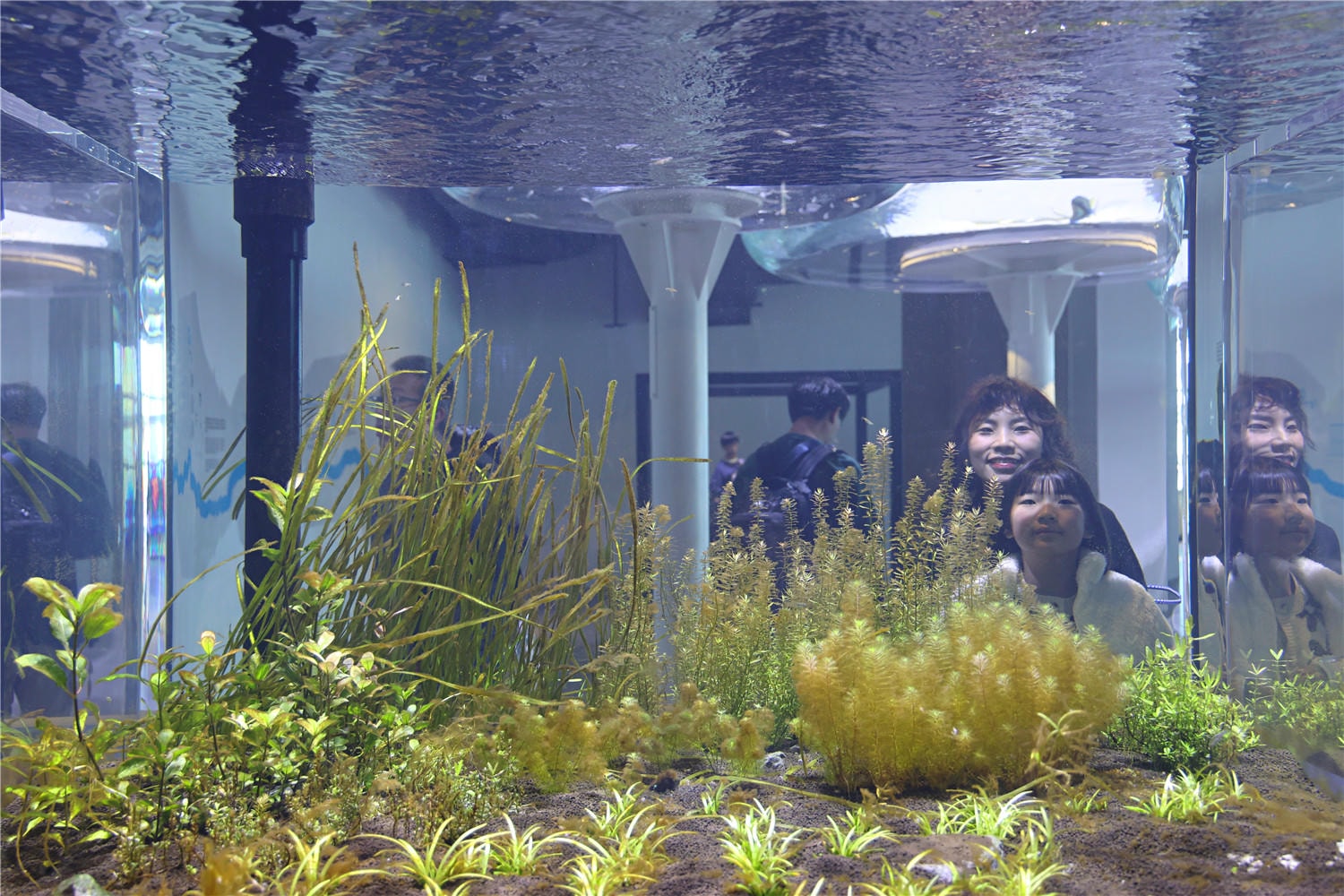 台中旅遊-台中海洋館 猶如海洋藝術展覽般的水族館丨企鵝隧道超吸睛
