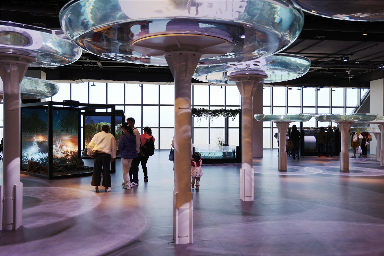台中旅遊-台中海洋館 猶如海洋藝術展覽般的水族館丨企鵝隧道超吸睛