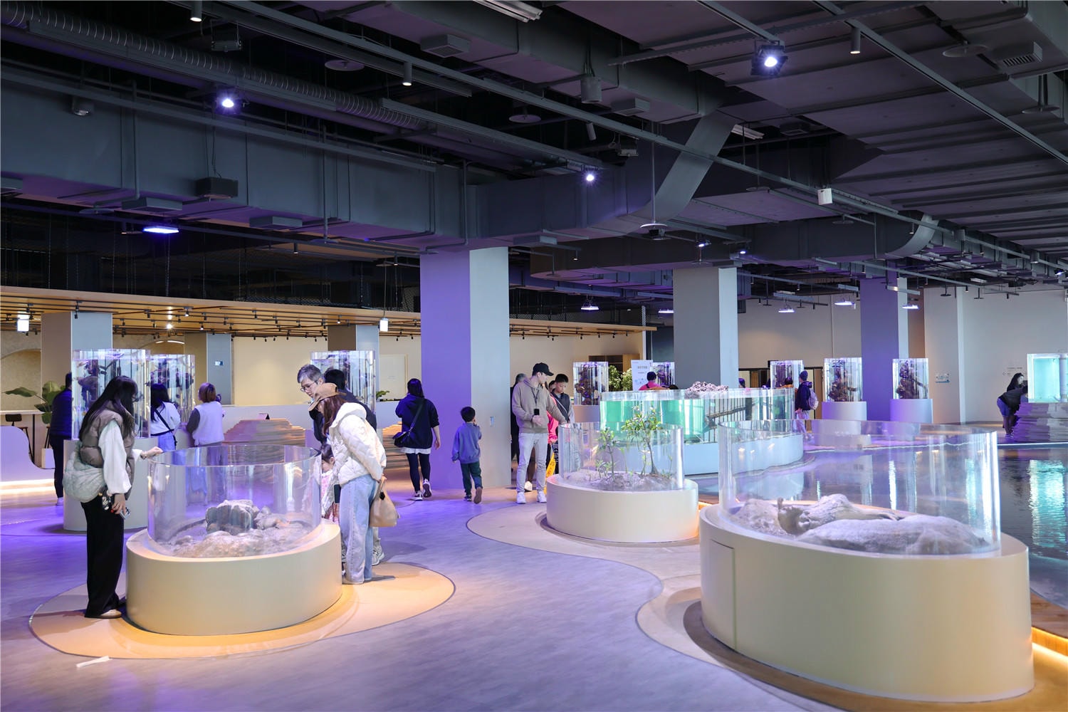 台中旅遊-台中海洋館 猶如海洋藝術展覽般的水族館丨企鵝隧道超吸睛