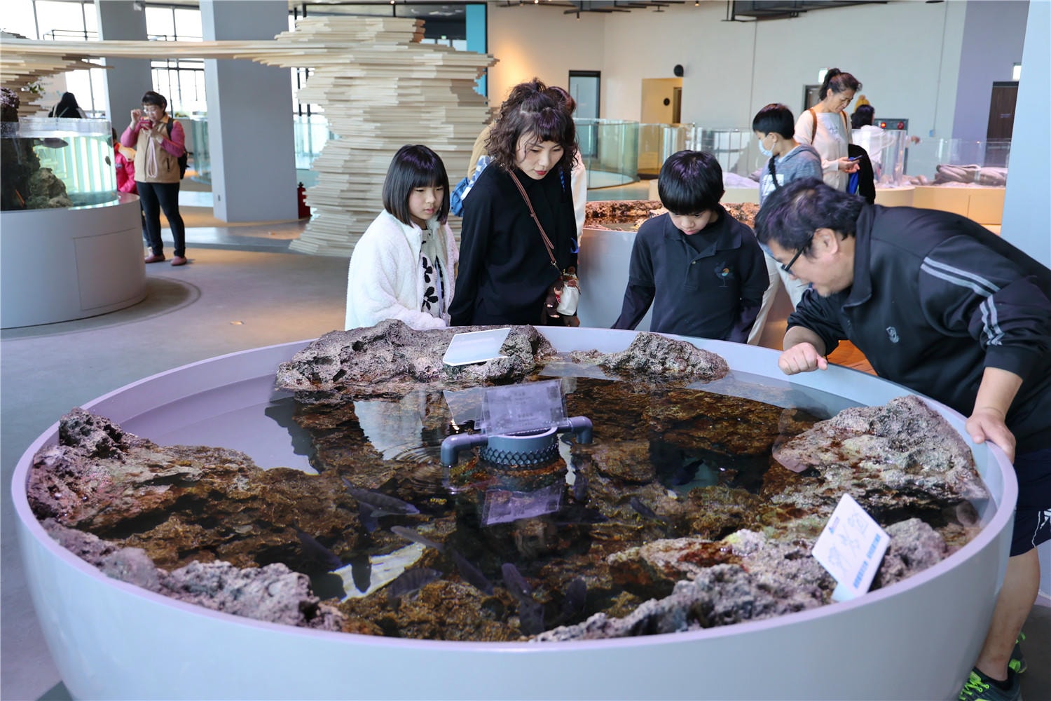 台中旅遊-台中海洋館 猶如海洋藝術展覽般的水族館丨企鵝隧道超吸睛