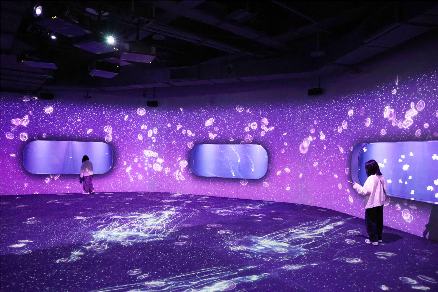 台中旅遊-台中海洋館 猶如海洋藝術展覽般的水族館丨企鵝隧道超吸睛