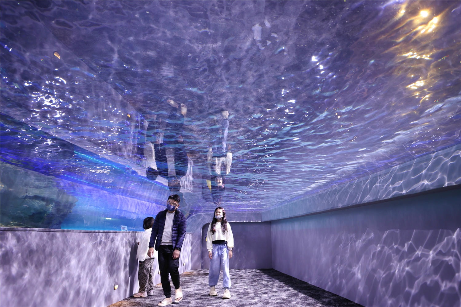 台中旅遊-台中海洋館 猶如海洋藝術展覽般的水族館丨企鵝隧道超吸睛